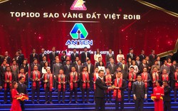 Công ty An Tiến Industries (HII) vinh dự lần đầu tiên nhận giải thưởng Sao Vàng đất Việt 2018

