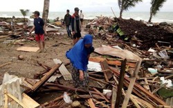 Lãnh đạo Đảng, Nhà nước Việt Nam gửi điện thăm hỏi thảm họa sóng thần Indonesia