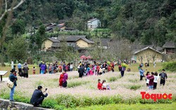 Hà Giang khuyến cáo không phát quà, tiền cho trẻ em và người ăn xin ở tại các khu, điểm du lịch 