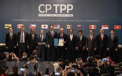 Hiệp định Đối tác Toàn diện và Tiến bộ xuyên Thái Bình Dương (CPTPP) chính thức có hiệu lực