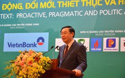 Việt Nam đã có một năm sôi động với các hoạt động hội nhập kinh tế quốc tế nổi bật