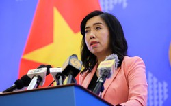 Bộ Ngoại giao thông tin về việc tiếp nhận công dân gốc Việt tại Mỹ