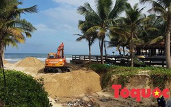 Đà Nẵng khẩn trương triển khai các giải pháp xử lý sạt lở bờ biển