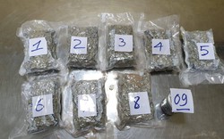 Du khách Việt kiều mang 2,3kg ma túy từ Mỹ về Việt Nam