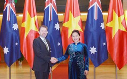 Chủ tịch Thương viện Australia: Việt Nam là bài học thành công về tăng trưởng kinh tế