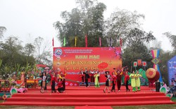 Lạng Sơn: Tưng bừng lễ hội hoa đào Xuân Kỷ Hợi