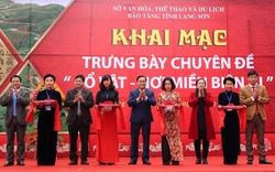 Trưng bày chuyên đề 