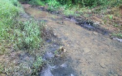Cận cảnh vết dầu đen tại nguồn cấp nước cho nhà máy nước sông Đà