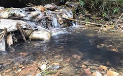 Vụ ô nhiễm nguồn nước sông Đà: Styren trong nước có thể gây ung thư cho con người