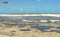 200 bãi biển tại Brazil xuất hiện vết dầu loang