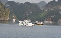 Từ tháng 1/2020, du khách có thể phải trả cả triệu đồng để tham quan trên vịnh Hạ Long