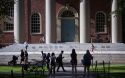 Không có chuyện Harvard phân biệt đối xử với sinh viên gốc Á trong chính sách tuyển sinh