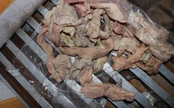 Bắt giữ, tiêu hủy 6 tấn lòng lợn nhiễm virus dịch tả lợn Châu Phi