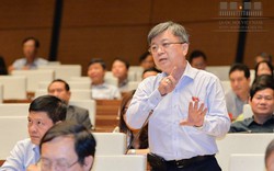 Đại biểu Quốc hội Trương Trọng Nghĩa đồng tình với ý kiến của Phó Thủ tướng về việc Việt Nam phải có con đường phát triển riêng của mình