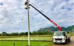 EVNCPC khẩn trương xử lý sự cố lưới điện sau bão số 6, quyết tâm khôi phục cấp điện toàn bộ khách hàng trong hôm nay