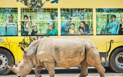 Vinpearl Safari đăng cai tổ chức hội nghị bảo tồn và phúc trạng động vật lớn nhất Đông Nam Á