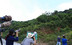 Du khách tham quan bán đảo Sơn Trà được cấp thẻ xanh, nhiếp ảnh gia thẻ vàng
