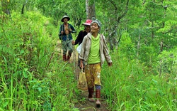 Vinh danh bốn Vườn Di sản ASEAN của Việt Nam