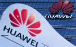 Tham vọng của Huawei tại châu Âu vấp đòn giáng mạnh