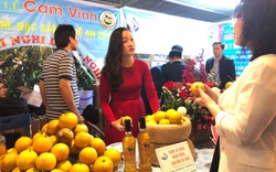 Khai mạc Tuần lễ cam Vinh và đặc sản tỉnh Nghệ An tại Hà Nội
