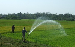 Phó Thủ tướng yêu cầu đảm bảo cấp nước cho sản xuất, sinh hoạt của người dân