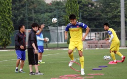 VFF bố trí 2 trợ lý ngôn ngữ riêng biệt cho Đội tuyển Quốc gia và U23 Quốc gia