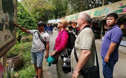 Hiệp hội Du lịch Việt Nam: Khách du lịch đi qua hoặc đến từ thành phố Daegu và các vùng lân cận khi về Việt Nam phải cách ly theo quy định phòng, chống dịch của Chính phủ 