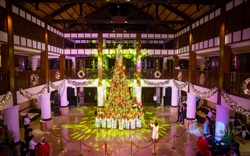 Thắp sáng cây thông Noel cao 10 mét tại khu nghỉ mát ở Đà Nẵng
