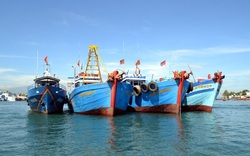 Chấm dứt khai thác hải sản trái phép ở vùng biển nước ngoài