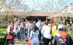 Dòng người tấp nập về dự lễ hội Khán hoa mẫu đơn chùa Phật Tích