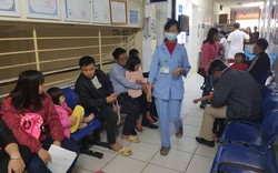 Hàng trăm trẻ đến bệnh viện xét nghiệm sán lợn: Cục Y tế dự phòng lên tiếng