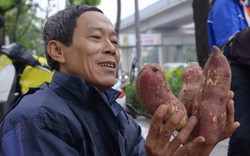 Người dân Thủ đô đội mưa “giải cứu” hàng trăm tấn khoai lang cho nông dân Gia Lai
