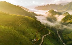 Tác phẩm của nhiếp ảnh gia Việt Nam được vinh danh trên National Geographic