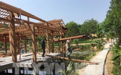 Quảng Nam: Tháo dỡ khu nghỉ dưỡng trái phép trong rừng phòng hộ Trà Lý