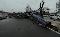 Tổng Bí thư, Chủ tịch nước Nguyễn Phú Trọng gửi điện thăm hỏi về siêu bão Idai