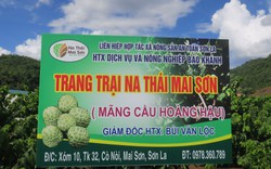 Phấn đấu 100% Liên minh HTX tỉnh, thành phố có Quỹ Hỗ trợ phát triển