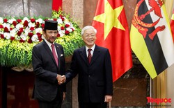 Tổng Bí thư, Chủ tịch nước Nguyễn Phú Trọng hội đàm với Quốc vương Brunei Darussalam Haji Hassanal Bolkiah