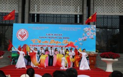 Phát động Liên hoan Tuyên truyền lưu động kỷ niệm 65 năm Ngày chiến thắng Điện Biên Phủ