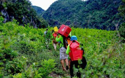 Quảng Bình nói không với các dự án đầu tư xây dựng tại vùng lõi vườn quốc gia Phong Nha – Kẻ Bàng