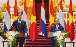 Việt Nam và Hà Lan nhất trí xây dựng quan hệ Đối tác toàn diện