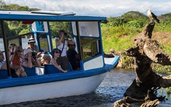 Cận cảnh điểm du lịch hoang dã không tưởng ở Costa Rica