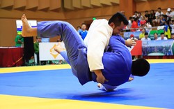 Tổ chức Giải vô địch Judo toàn quốc năm 2019 tại thành phố Đà Nẵng