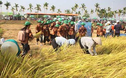 Tôn vinh nghề trồng lúa nước qua Lễ hội ngày mùa năm 2019