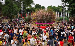Lễ hội hoa anh đào Nhật Bản - Hà Nội 2019 xác lập kỷ lục Việt Nam