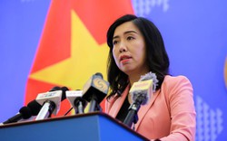Bộ Ngoại giao phản ứng việc nhóm tàu Hải Dương 8 của Trung Quốc rút khỏi vùng đặc quyền kinh tế và thềm lục địa của Việt Nam