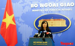 Người phát ngôn Bộ Ngoại giao thông tin về sức khỏe Tổng Bí thư, Chủ tịch nước Nguyễn Phú Trọng