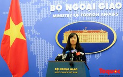 Bộ Ngoại giao thông tin vụ việc một phụ nữ Việt bị chồng Hàn Quốc bạo hành
