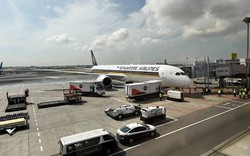 Hàng không Singapore phát hiện cánh quạt động cơ máy bay Boeing xuống cấp, tạm ngừng khai thác 