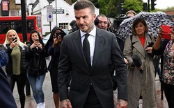 David Beckham bị cấm lái xe 6 tháng do vi phạm luật giao thông