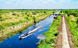 Xây dựng 9 tuyến tham quan du lịch sinh thái tại Vườn Quốc gia U Minh Thượng